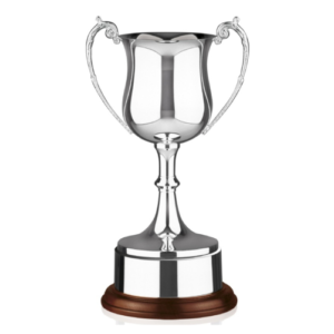 Picture of Silver Trophy Cup